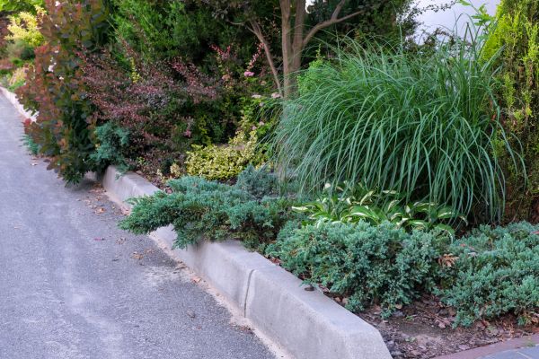 Concrete Landscape Curbing
