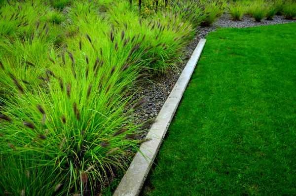 Landscape Bordering