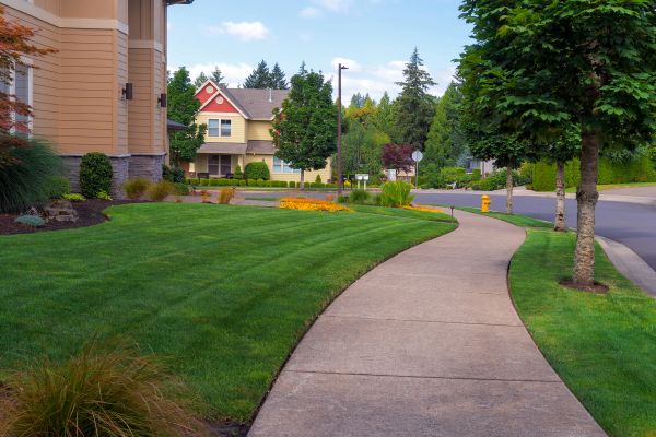 Brushed Concrete Sidewalk Installation